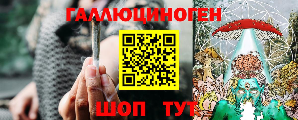 Псилоцибиновые грибы Psilocybe Шахты