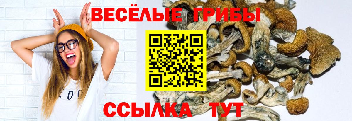 Галлюциногенные грибы прущие грибы  Вход с VPN  Галлюциногенные грибы MAGIC MUSHROOMS  Шахты 